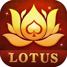 teen patti kay download